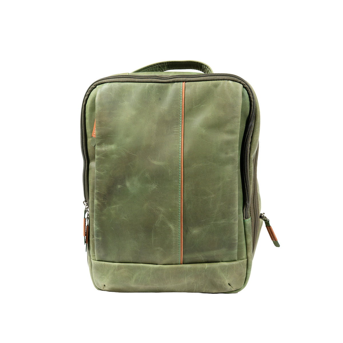 alicia Graso Verde / Detalle Hoja Seca